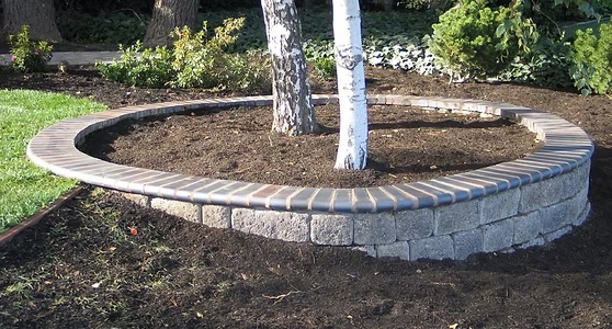 Stacked-stone retaining wall around a tree