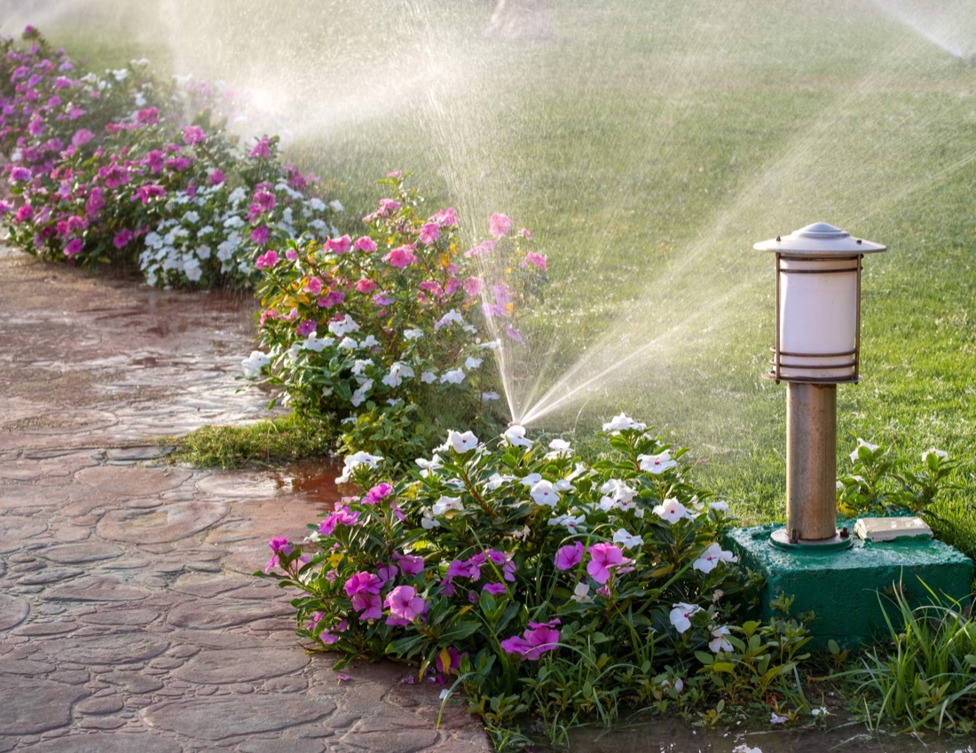 Low-voltage landscape path light in a planted bed
